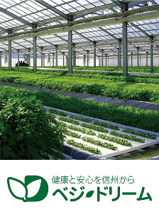 ベジ・ドリーム